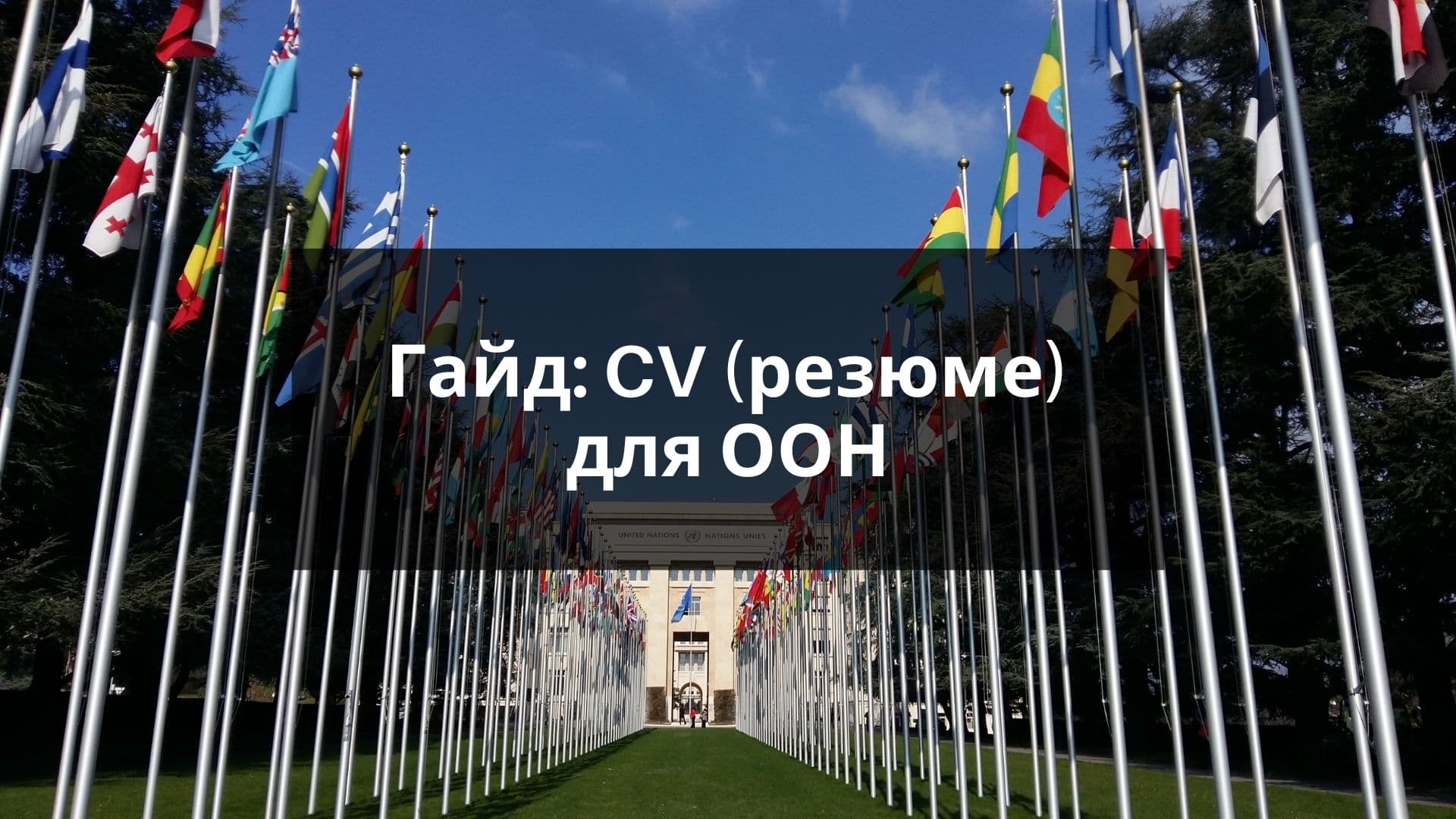Как правильно составить резюме для ООН