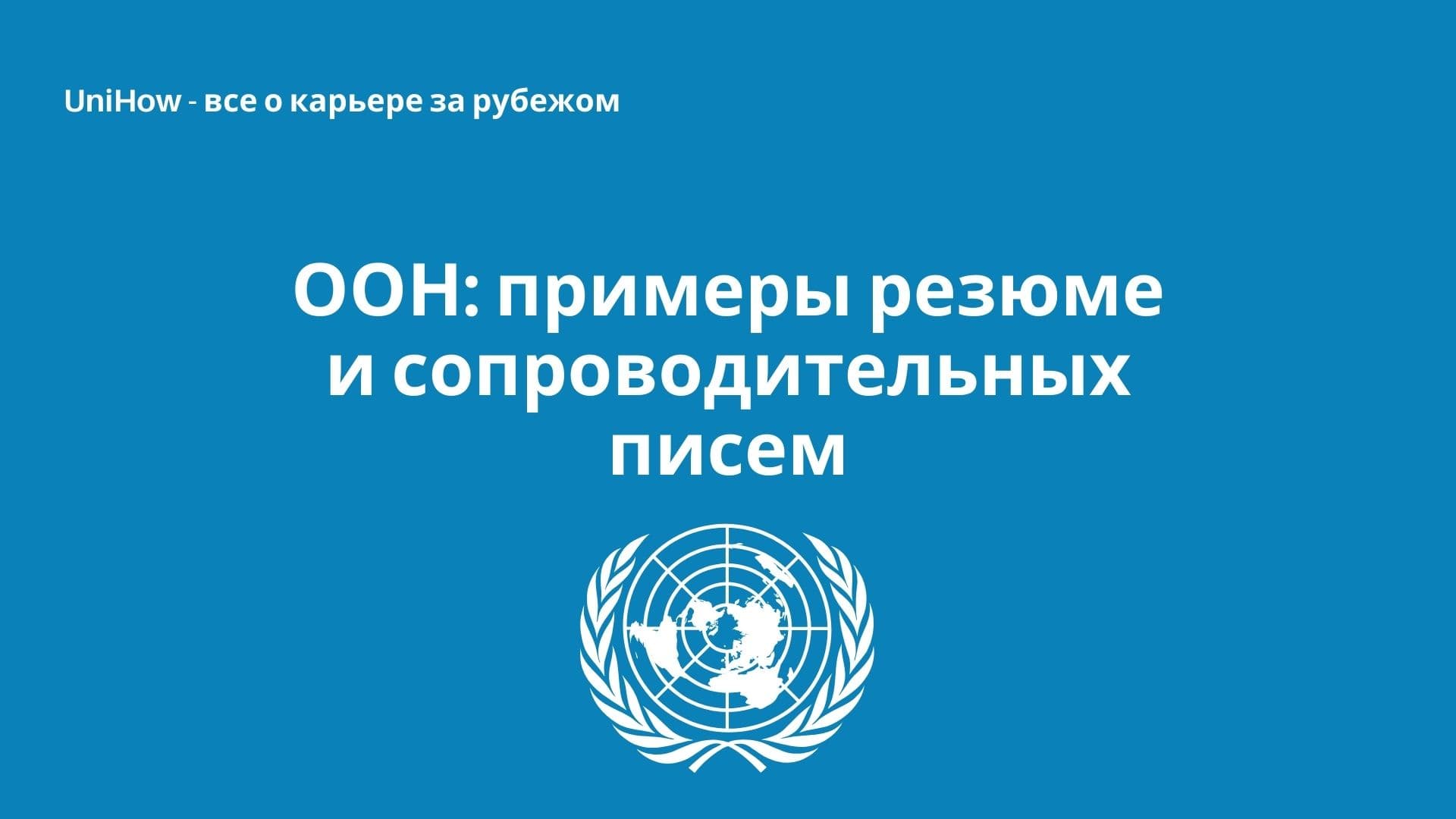 ООН: примеры CV и Cover Letters