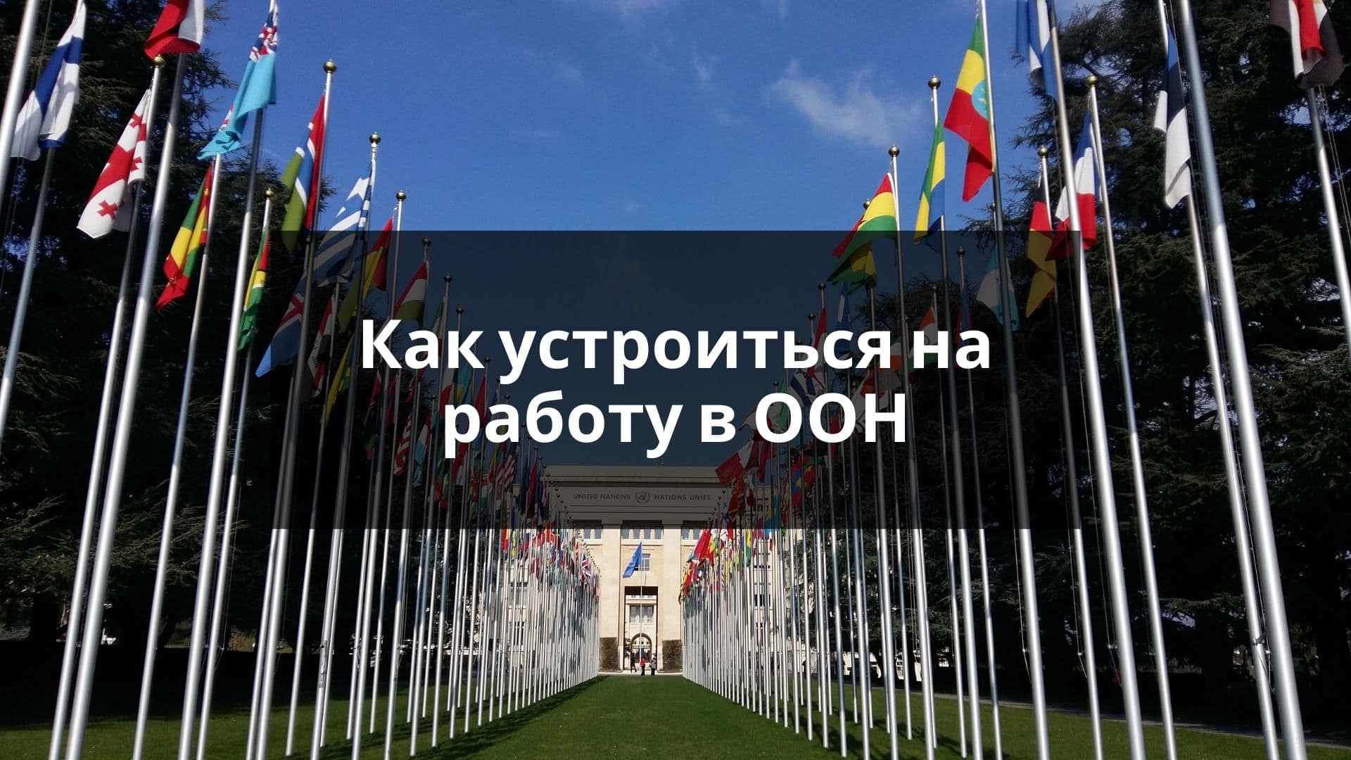 Как устроиться на работу в ООН?
