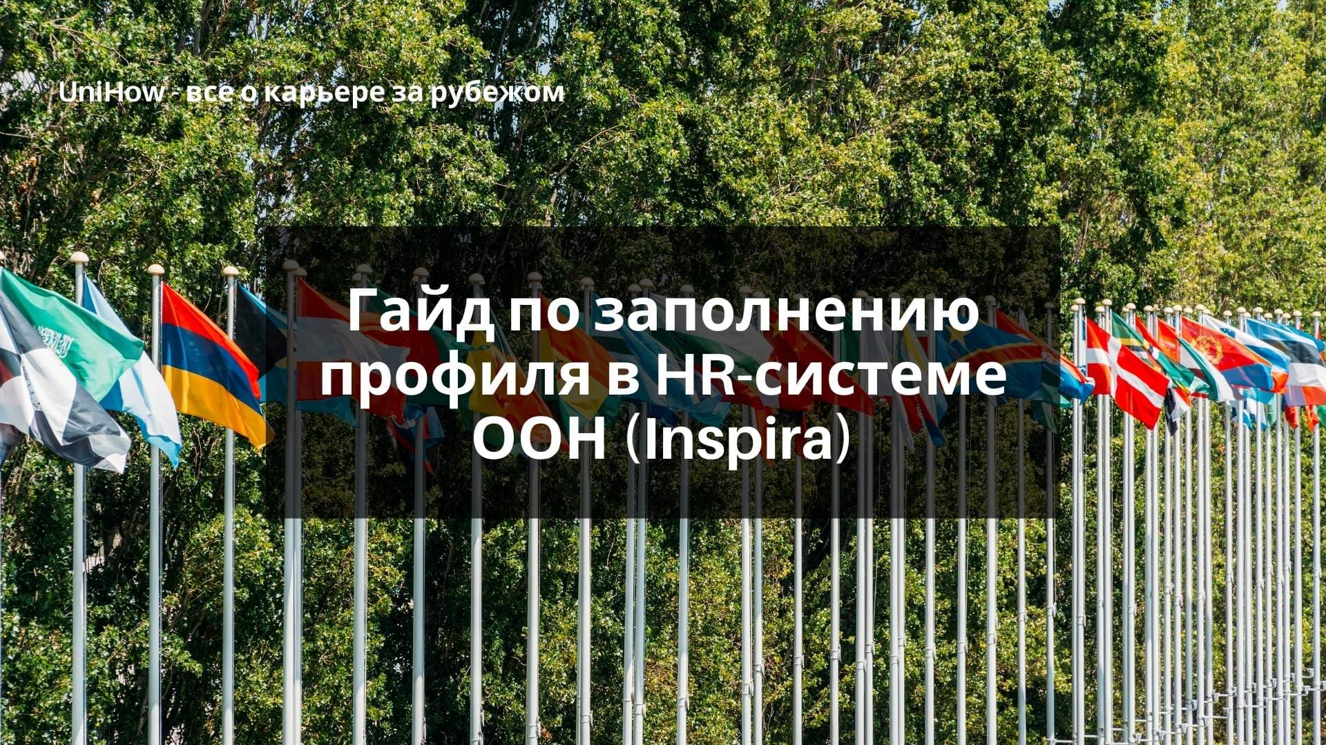 Гайд по заполнению профиля в HR-системе ООН (Inspira)