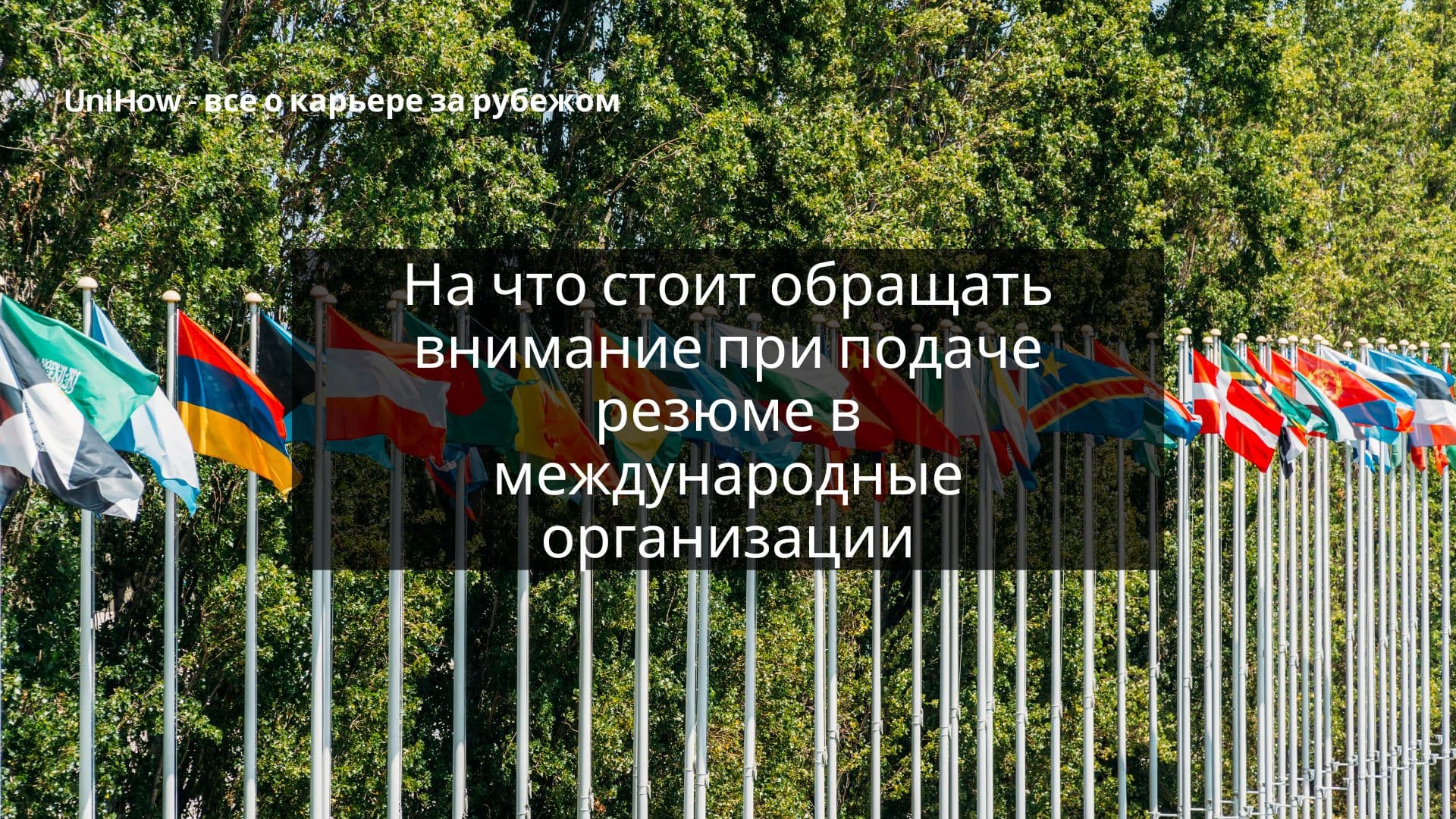 На что стоит обращать внимание при подаче резюме в международные организации